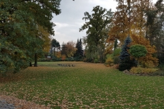 Grupa Kapias ogrody jesienią