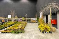 Silesia Plants 2021 - Katowice MCK