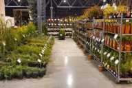 Silesia Plants 2021 - Katowice MCK