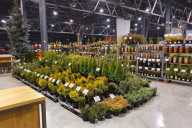 Silesia Plants 2021 - Katowice MCK