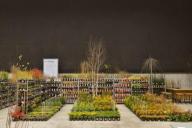 Silesia Plants 2021 - Katowice MCK