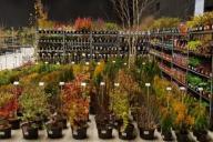 Silesia Plants 2021 - Katowice MCK