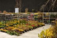 Silesia Plants 2021 - Katowice MCK