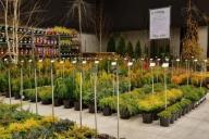 Silesia Plants 2021 - Katowice MCK