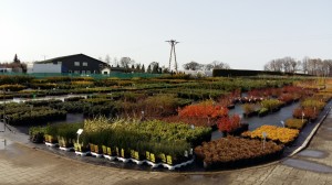 Grupa Kapias Centrum ogrodnicze            