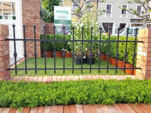 Grupa Kapias - ogród angielski [Ogrody Daisy 2016]         