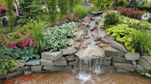 Grupa Kapias Ogrody Daisy Pszczyna 2015    