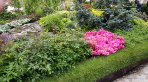 Grupa Kapias Ogrody Daisy Pszczyna 2015    