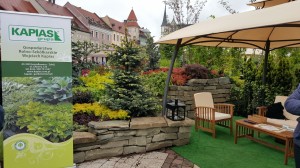 Grupa Kapias Ogrody Daisy Pszczyna 2015    