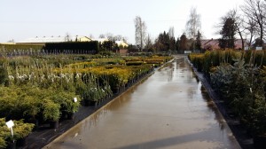 Grupa Kapias Centrum ogrodnicze            