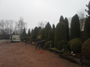 Grupa Kapias cięcie roślin ozdobnych         