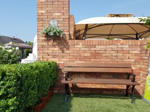 Grupa Kapias - ogród angielski [Ogrody Daisy 2016]   