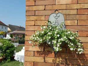 Grupa Kapias - ogród angielski [Ogrody Daisy 2016]   