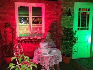 Grupa Kapias - ogród angielski nocą [Ogrody Daisy 2016]        