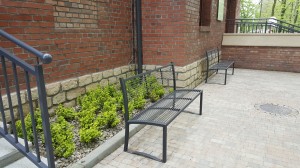 Grupa Kapias park w Goczałkowicach-Zdroju 