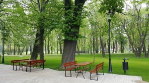 Grupa Kapias park w Goczałkowicach-Zdroju 