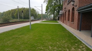 Grupa Kapias park w Goczałkowicach-Zdroju 