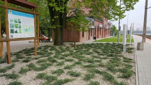 Grupa Kapias park w Goczałkowicach-Zdroju 