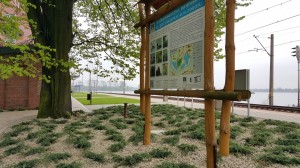 Grupa Kapias park w Goczałkowicach-Zdroju 