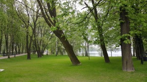 Grupa Kapias park w Goczałkowicach-Zdroju