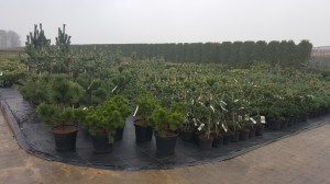 Grupa Kapias punkt sprzedaży 