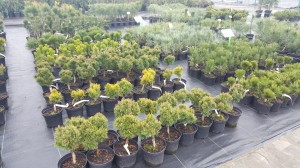 Grupa Kapias punkt sprzedaży   