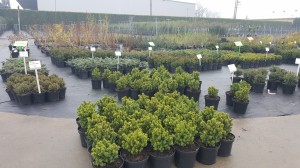 Grupa Kapias punkt sprzedaży   