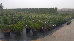 Grupa Kapias punkt sprzedaży  