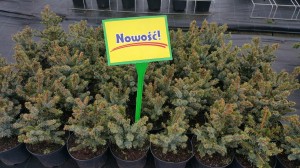 Grupa Kapias punkt sprzedaży   