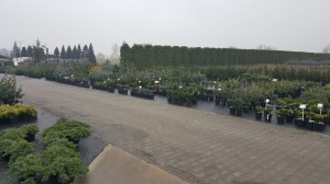 Grupa Kapias punkt sprzedaży   