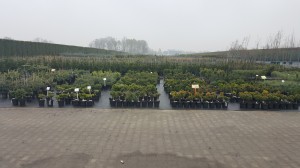 Grupa Kapias punkt sprzedaży   