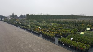 Grupa Kapias punkt sprzedaży   