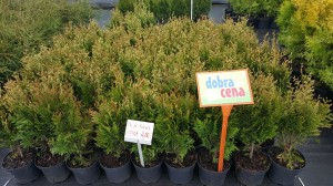 Grupa Kapias punkt sprzedaży    