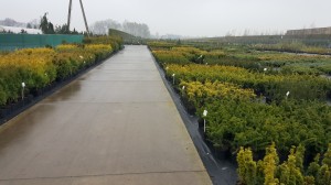 Grupa Kapias punkt sprzedaży           