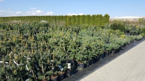 Grupa Kapias punkt sprzedaży            