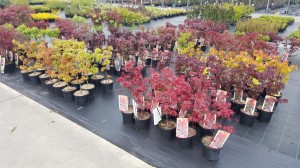 Grupa Kapias punkt sprzedaży 