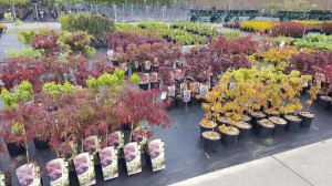 Grupa Kapias punkt sprzedaży 