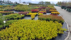 Grupa Kapias punkt sprzedaży 