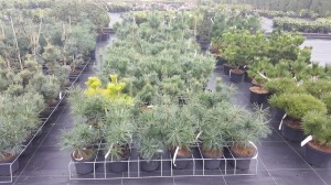 Grupa Kapias punkt sprzedaży   