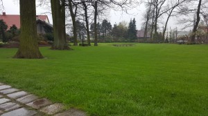 Grupa Kapias wiosna w ogrodach   